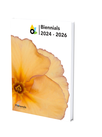 katalog_biennials_24_26.png