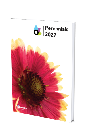 katalog_perennials2027.png