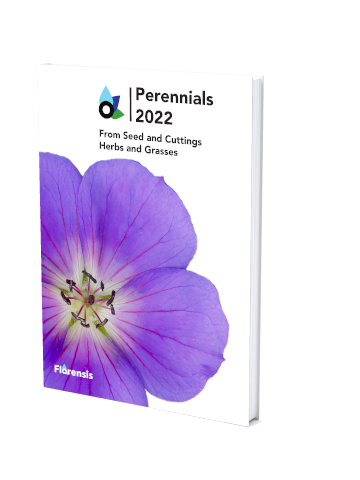 Perennials 2022